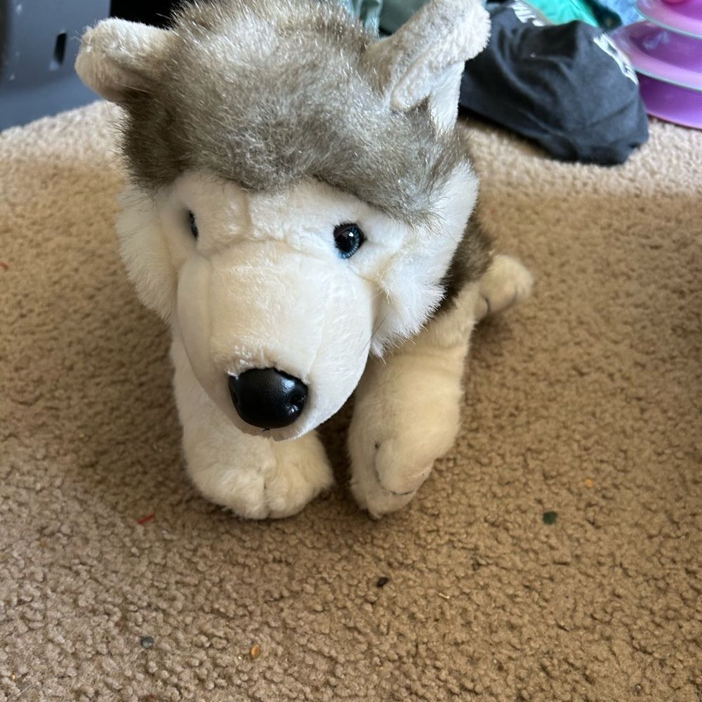 Husky Dog Build a Bear Stuffed Animal